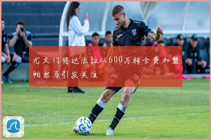 尤文门将达法拉以600万转会费加盟帕尔马引发关注